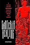 Santeria Healing: A Journey into the Afro-Cuban World of Divinities, Spirits, and Sorcer (Contemporary Cuba)