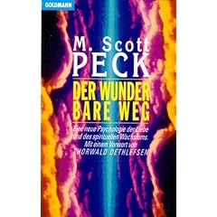 Der wunderbare Weg