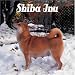 Shiba Inu 2008 Wall Calendar