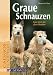 Graue Schnauzen: Gute Zeit mit alten Hunden