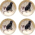 THIRSTYSTONE COASTER COMPANIONS - LABRADOR RETRIEVER