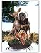 Funny Two Chihuahuas Dogs in a Sleigh Christmas Holiday Greeting Cards 10 Pack Gifty Idea