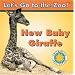 New Baby Giraffe (Let's Go To The Zoo!)
