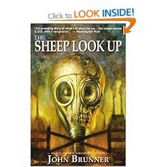 The Sheep Look Up