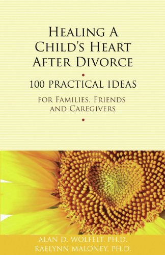 Healing a Child's Heart After Divorce: 100 Practical Ideas for Families, Friends and Caregivers (Healing a Grieving Heart series)