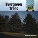 Evergreen Trees