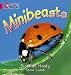 Minibeasts