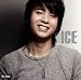 ICE 