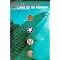 Insightful Buddhist books