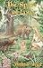 The Space of Love (The Ringing Cedars, Book 3)
