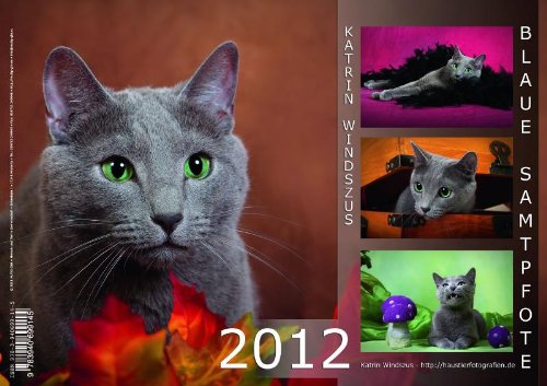 MuTiG GbR Kalender Blaue Samtpfote 2012 (A4 quer)