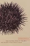 The cultural space of the arts and the infelicities of reductionism