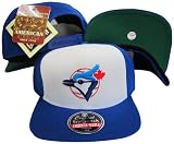 Toronto Blue Jays Blue/White Three Panel Snapback Adjustable Snap Back Hat / Cap