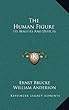 The Human Figure: Its Beauties and Defects