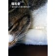 猫毛愛<br>蔦谷 香理著 <br>幻冬舎<br>1365円<br>ISBN:9784344019171