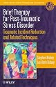 Brief Therapy for PTSD: Traumatic Incident Reduction and Related Techniques (Wiley Series in Brief Therapy & Counselling)