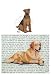 Welsh Terrier Glass Cutting Board