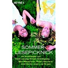 Sommer-Lesepicknick.