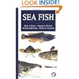 Sea Fish