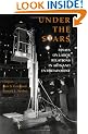 Under the Stars: Essays on Labor Relations in Arts and Entertainment (ILR Press books)