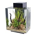 Fluval 15391 Edge II Aquarium, schwarz