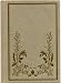 Search : THE BAT-POET by Randall Jarrell, pictures by Maurice Sendak BAT POET (Beautiful Hardcover 1st Harper Collins Edition 1996)