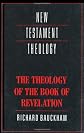 The Theology of the Book of Revelation (New Testament Theology)