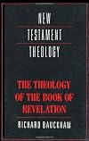 The Theology of the Book of Revelation (New Testament Theology)