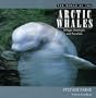 The World of the Arctic Whales: Belugas, Bowheads, and Narwhals