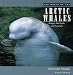 The World of the Arctic Whales: Belugas, Bowheads, and Narwhals by Stefani Paine