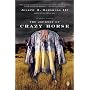 Journey of Crazy Horse, the