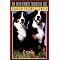 The Best Dogs