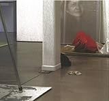 Andrew Grassie : painting as document