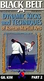 Dynamic Kicks and Techniques Of Korean Martial Arts - Pt. 2 [VHS] [Import]
