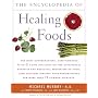The Encyclopedia of Healing Foods