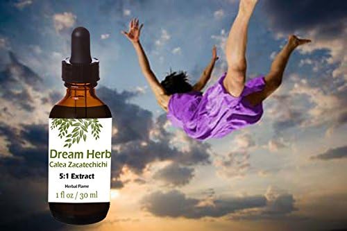 Dream Herb 5:1 Extract Tincture Organic (Calea Zacatechichi) 1 Oz Glass Bottle with Dropper By Herbal Flame