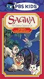 Sagwa - Cat Nights, Flights and Delights