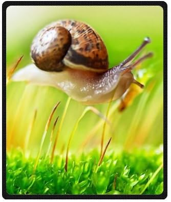 Good Quantity Snail Blanket 50" x 60" Fleece Blanket (Small)
