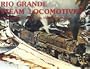 Rio Grande Steam Locomotives: Standard Gauge