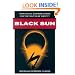 Black Sun: Aryan Cults, Esoteric Nazism, and the Politics of Identity