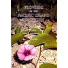 Flowers of the Pacific Island Seashore