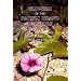 Flowers of the Pacific Island Seashore