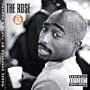 Fallen Star [Explicit]