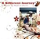 A Different Journey