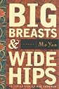 Big Breasts and Wide Hips (Arcade Classics)