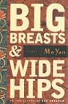 Big Breasts and Wide Hips (Arcade Cla...