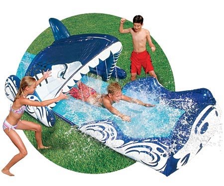 Discovery Exclusive Shark