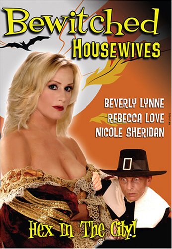 Cover art for  Bewitched Housewives
