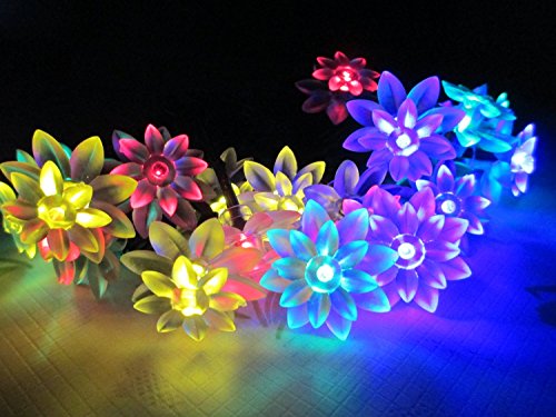 M&T TECH solar Christmas Fairy string lights 20 Led Double Lotus Flower Lights for Outdoor Garden Patio(Multi color)