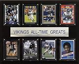 NFL Minnesota Vikings All-Time Greats Plaque